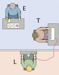 There were many variants to the set-up in Milgram's famous 'obedience' paradigm — in which participants had to play the part of a teacher (T) in a memory study. How did these affect Ts' identification with the Experimenter (E) and the Learner (L)?