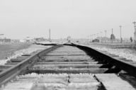 The rail tracks leading into Auschwitz